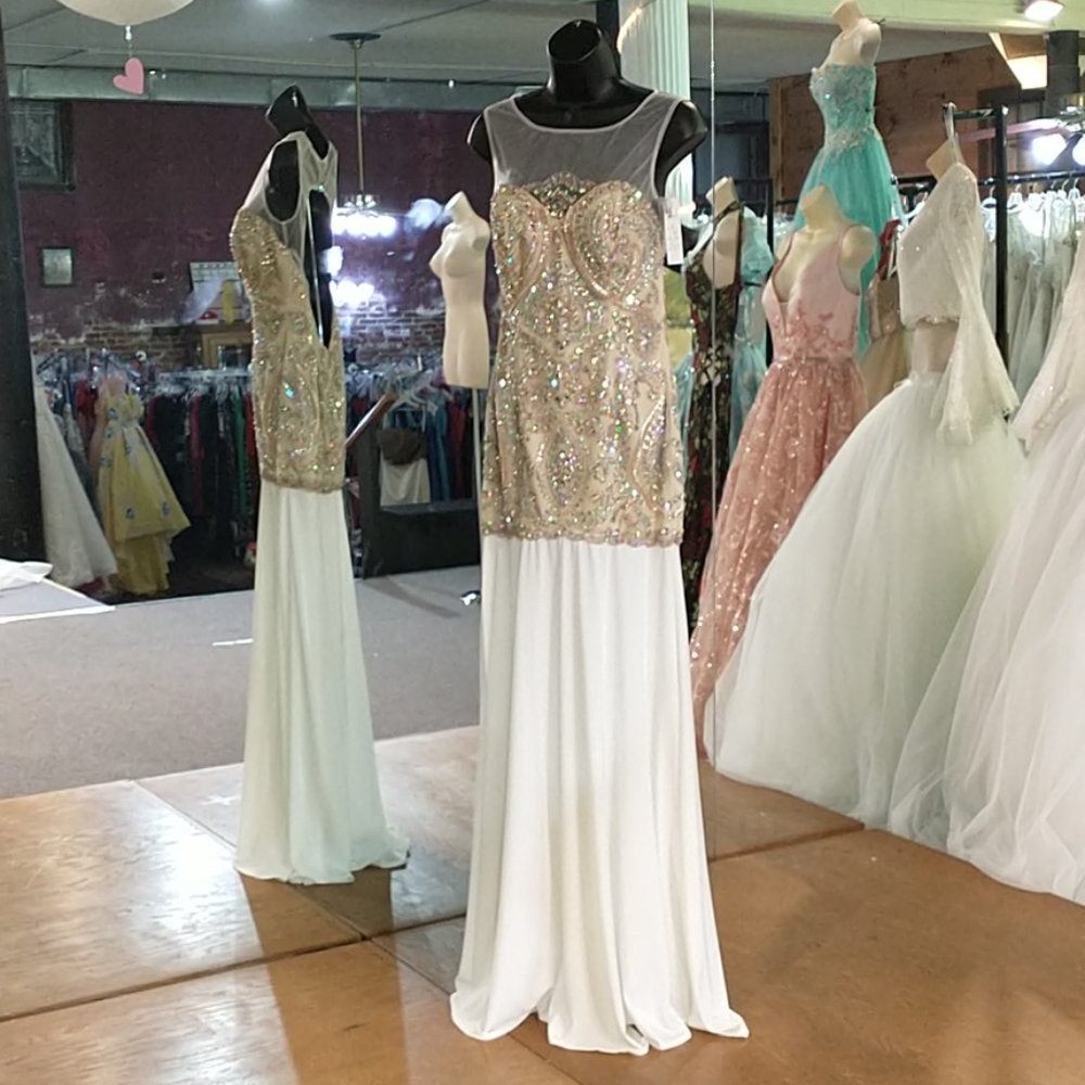 Envious by Karishma evening gown